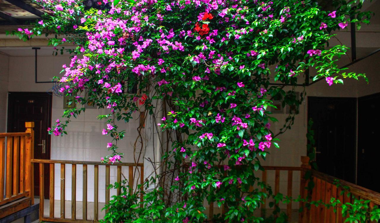 Dali Lao Shay Youth Hostel Exteriér fotografie